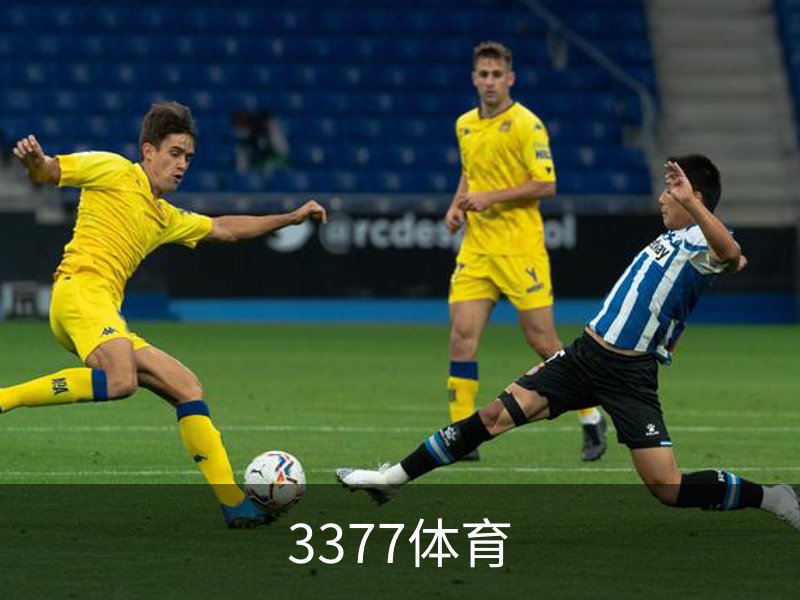 走进3377体育